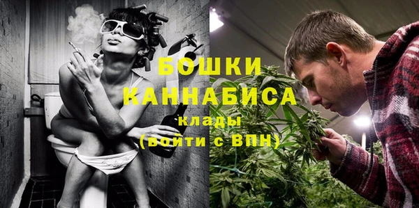 мет Елабуга