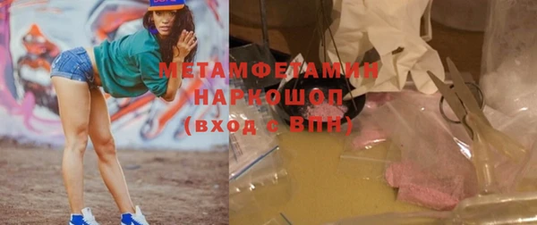 ГАЛЛЮЦИНОГЕННЫЕ ГРИБЫ Дмитриев