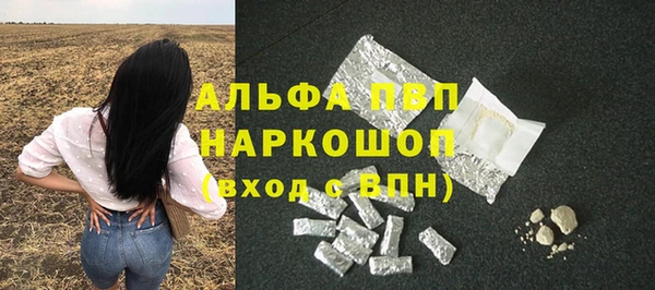 СК Дмитров