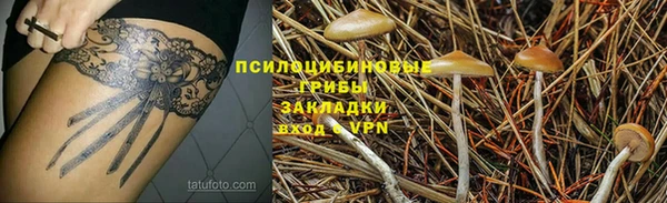 мет Елабуга