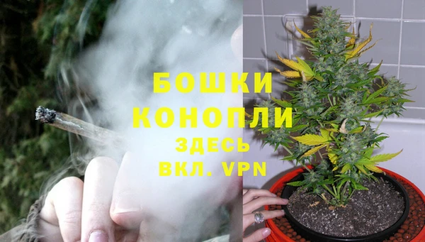 прущий лед Ельня