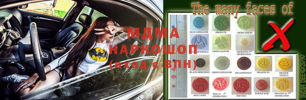 ГАЛЛЮЦИНОГЕННЫЕ ГРИБЫ Дмитриев