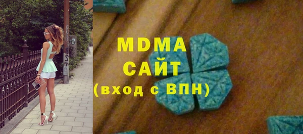 ГАЛЛЮЦИНОГЕННЫЕ ГРИБЫ Дмитриев