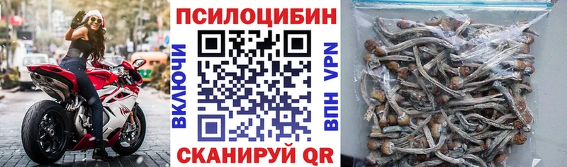 Галлюциногенные грибы Psilocybe  где купить   Саянск 